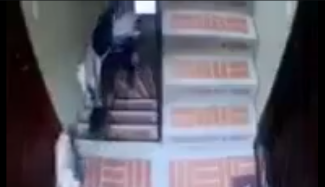 Hombre golpeó contra el piso en varias ocasiones a un perro