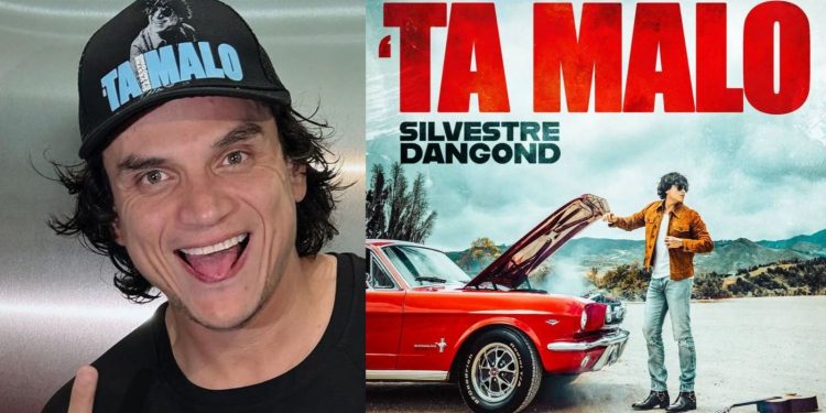 Festival Navideño para despedir el 2023 en Puerto Gaitán