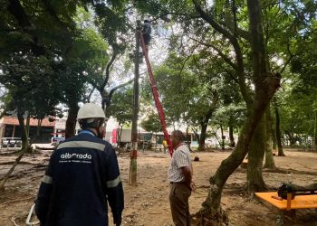 NUEVA ILUMINACIÓN MEJORARÁ LA SEGURIDAD EN EL PARQUE DEL BARRIO EL ESTERO