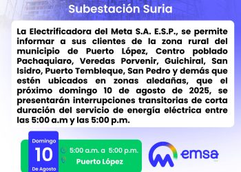 Mantenimiento Preventivo Subestación Suria