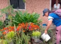 Control domiciliario fortalece la prevención del dengue y la fiebre amarilla en la vereda Barcelona