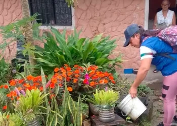Control domiciliario fortalece la prevención del dengue y la fiebre amarilla en la vereda Barcelona
