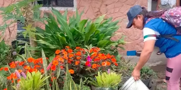 Control domiciliario fortalece la prevención del dengue y la fiebre amarilla en la vereda Barcelona