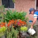 Control domiciliario fortalece la prevención del dengue y la fiebre amarilla en la vereda Barcelona